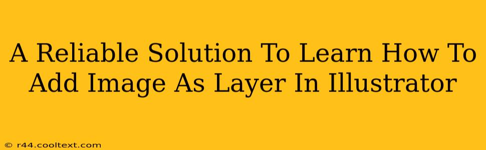 A Reliable Solution To Learn How To Add Image As Layer In Illustrator