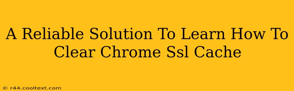 A Reliable Solution To Learn How To Clear Chrome Ssl Cache