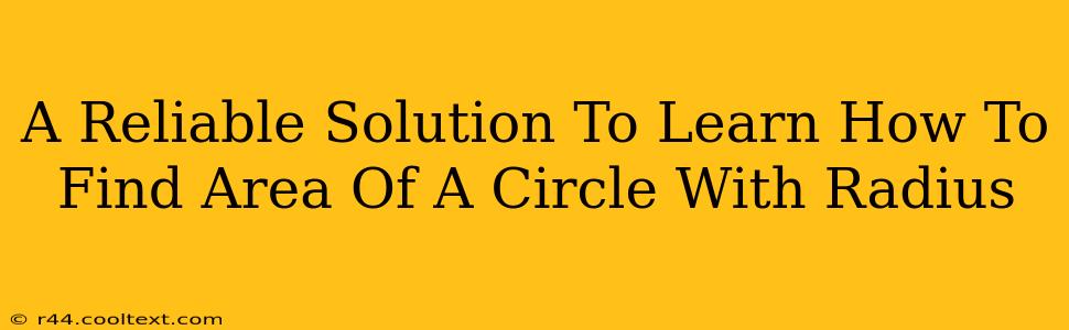 A Reliable Solution To Learn How To Find Area Of A Circle With Radius