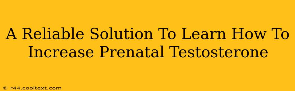 A Reliable Solution To Learn How To Increase Prenatal Testosterone