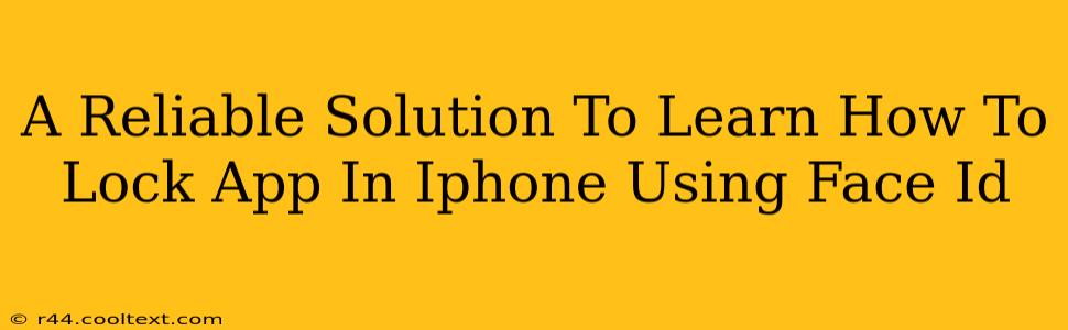 A Reliable Solution To Learn How To Lock App In Iphone Using Face Id