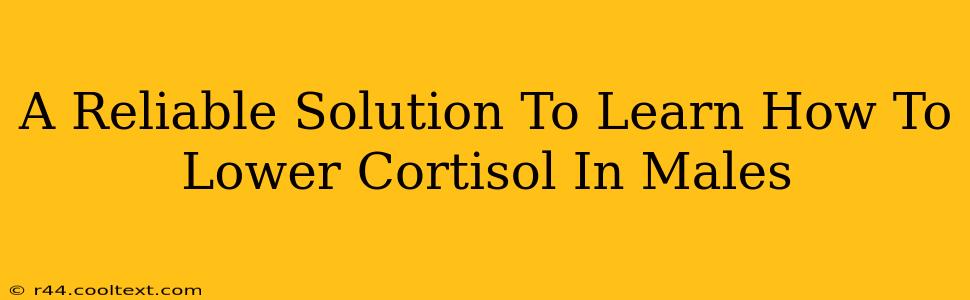 A Reliable Solution To Learn How To Lower Cortisol In Males