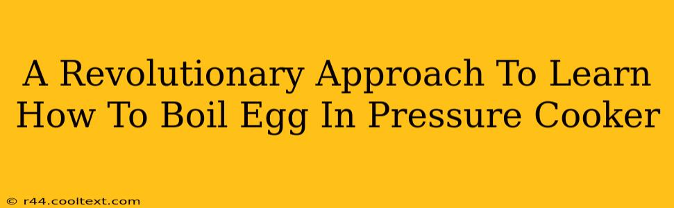 A Revolutionary Approach To Learn How To Boil Egg In Pressure Cooker