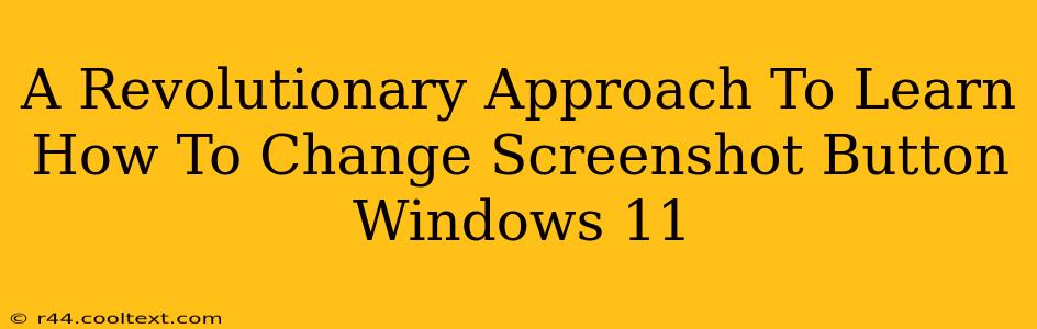 A Revolutionary Approach To Learn How To Change Screenshot Button Windows 11