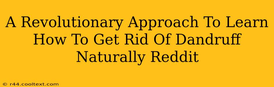 A Revolutionary Approach To Learn How To Get Rid Of Dandruff Naturally Reddit