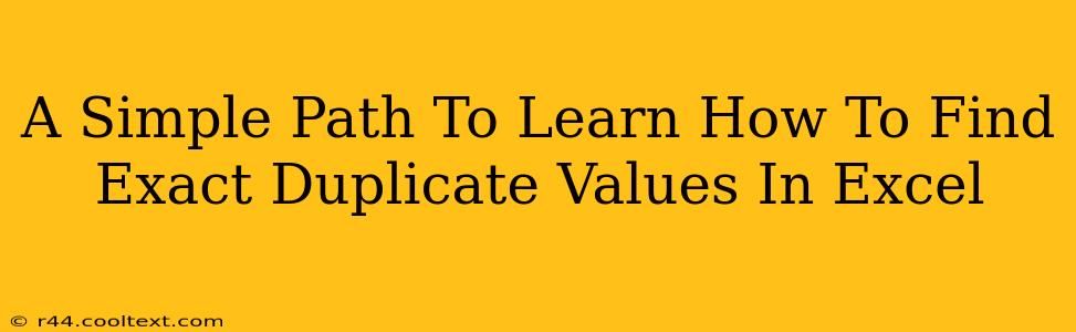 A Simple Path To Learn How To Find Exact Duplicate Values In Excel