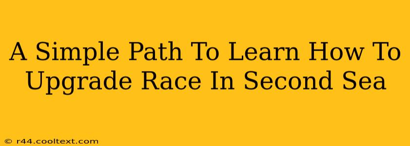 A Simple Path To Learn How To Upgrade Race In Second Sea