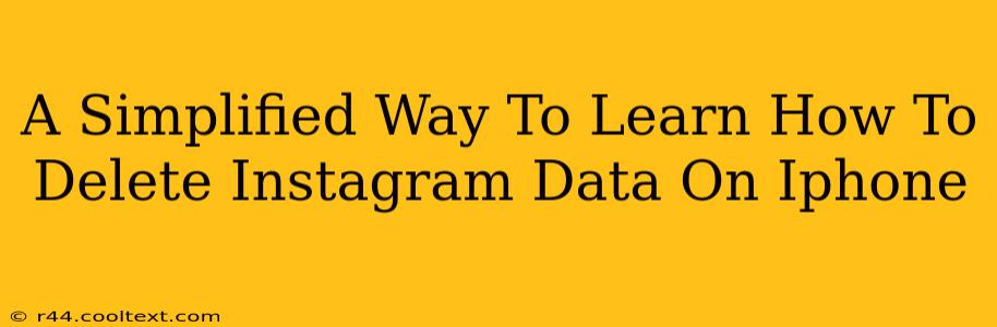 A Simplified Way To Learn How To Delete Instagram Data On Iphone