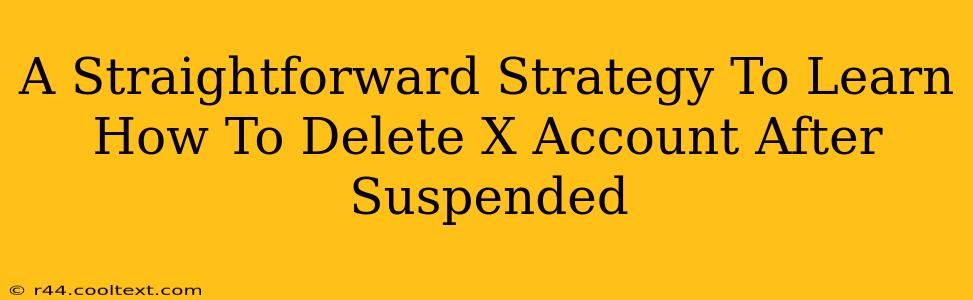 A Straightforward Strategy To Learn How To Delete X Account After Suspended