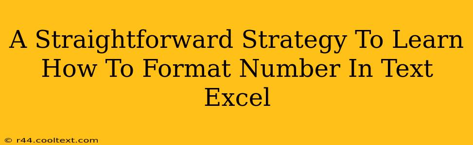 A Straightforward Strategy To Learn How To Format Number In Text Excel