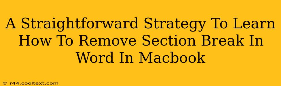 A Straightforward Strategy To Learn How To Remove Section Break In Word In Macbook