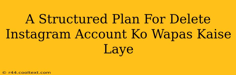 A Structured Plan For Delete Instagram Account Ko Wapas Kaise Laye