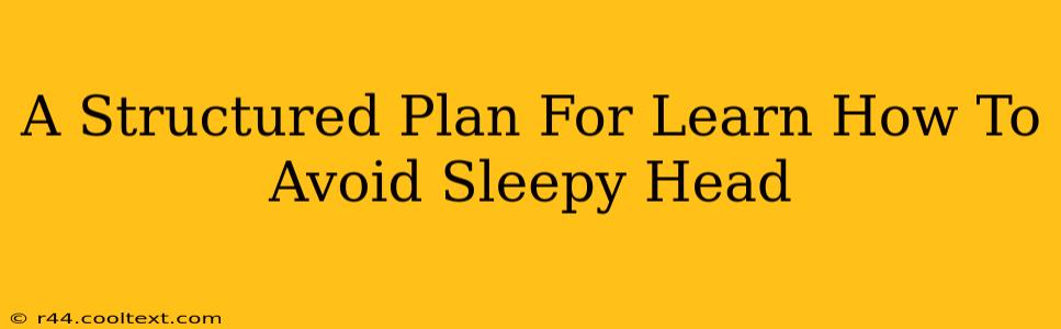 A Structured Plan For Learn How To Avoid Sleepy Head