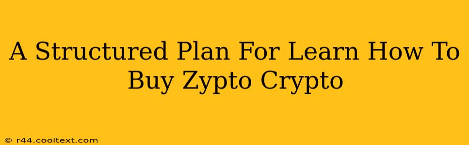 A Structured Plan For Learn How To Buy Zypto Crypto