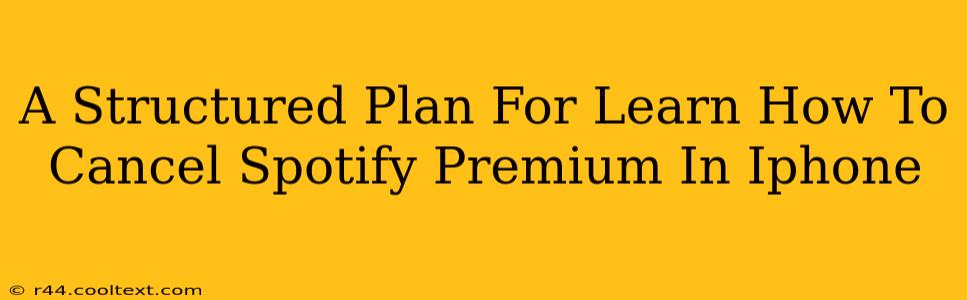 A Structured Plan For Learn How To Cancel Spotify Premium In Iphone