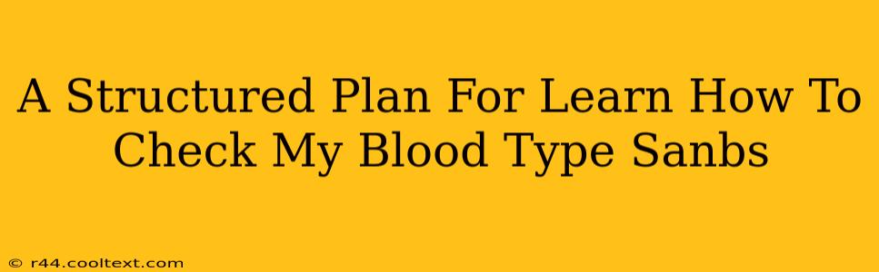 A Structured Plan For Learn How To Check My Blood Type Sanbs