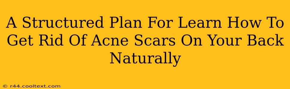 A Structured Plan For Learn How To Get Rid Of Acne Scars On Your Back Naturally