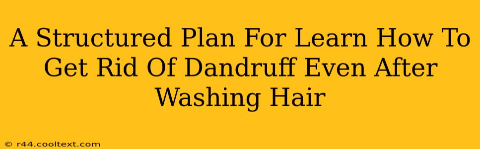 A Structured Plan For Learn How To Get Rid Of Dandruff Even After Washing Hair