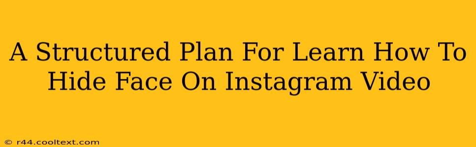 A Structured Plan For Learn How To Hide Face On Instagram Video