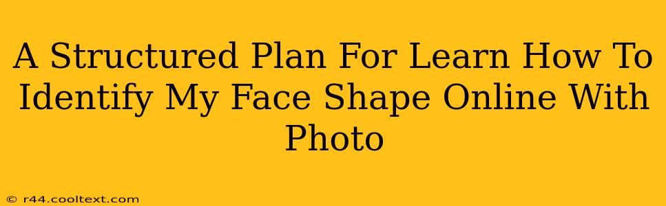 A Structured Plan For Learn How To Identify My Face Shape Online With Photo