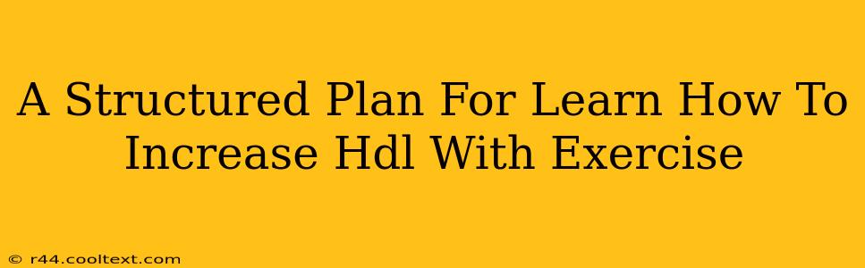 A Structured Plan For Learn How To Increase Hdl With Exercise