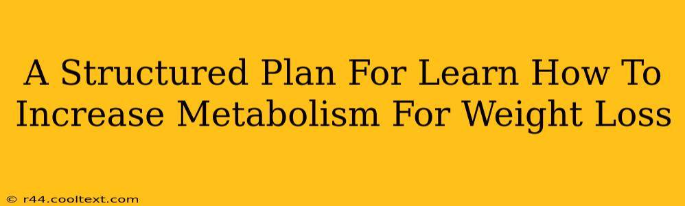 A Structured Plan For Learn How To Increase Metabolism For Weight Loss