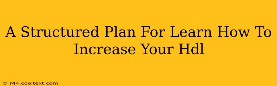 A Structured Plan For Learn How To Increase Your Hdl