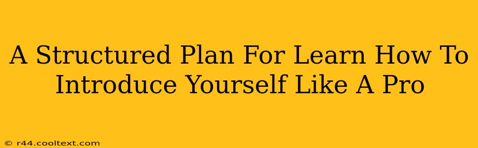 A Structured Plan For Learn How To Introduce Yourself Like A Pro