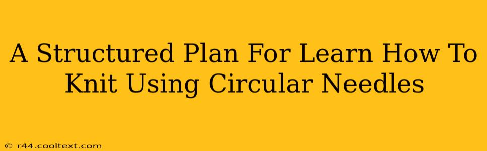 A Structured Plan For Learn How To Knit Using Circular Needles