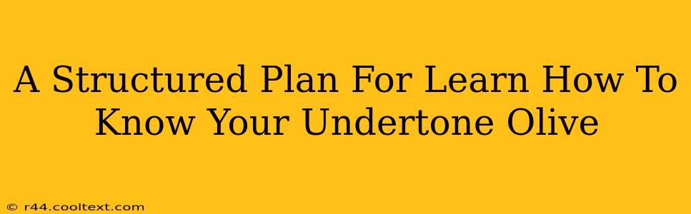 A Structured Plan For Learn How To Know Your Undertone Olive