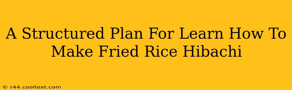 A Structured Plan For Learn How To Make Fried Rice Hibachi