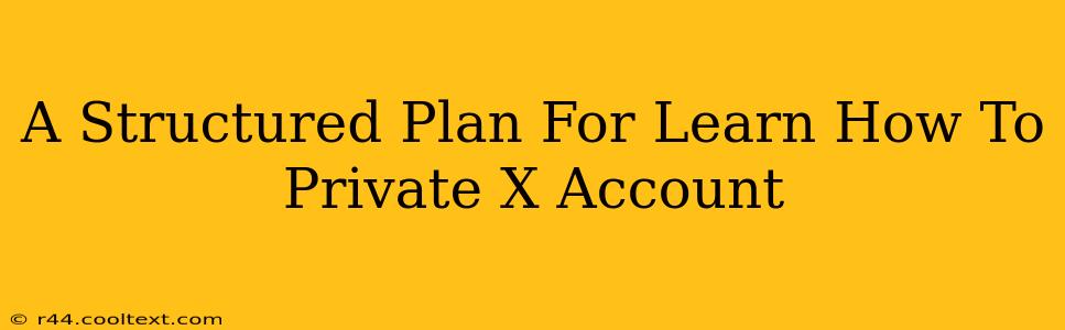 A Structured Plan For Learn How To Private X Account