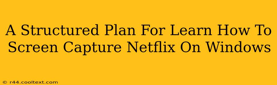 A Structured Plan For Learn How To Screen Capture Netflix On Windows