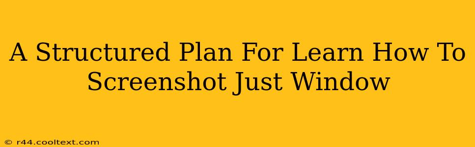 A Structured Plan For Learn How To Screenshot Just Window