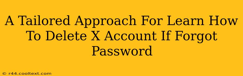 A Tailored Approach For Learn How To Delete X Account If Forgot Password