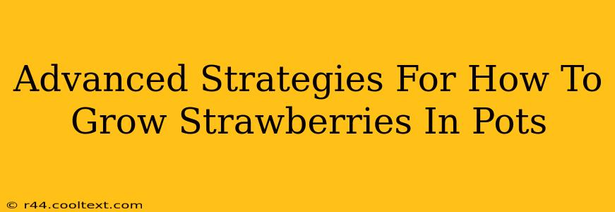 Advanced Strategies For How To Grow Strawberries In Pots