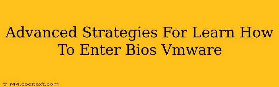 Advanced Strategies For Learn How To Enter Bios Vmware