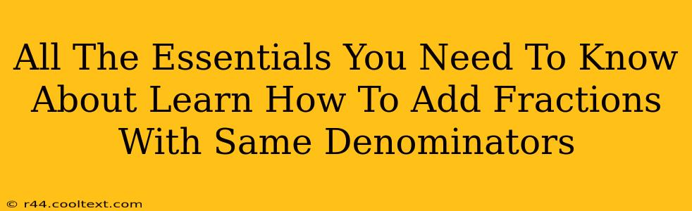 All The Essentials You Need To Know About Learn How To Add Fractions With Same Denominators