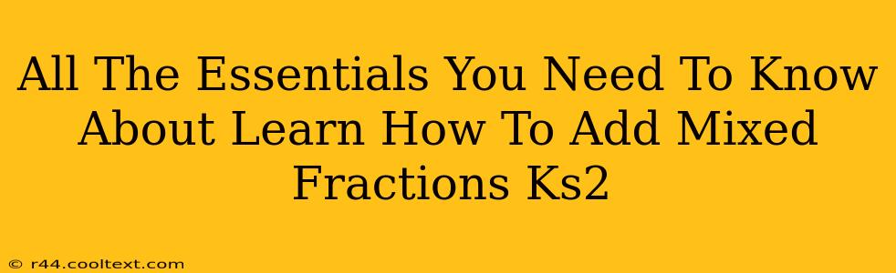 All The Essentials You Need To Know About Learn How To Add Mixed Fractions Ks2