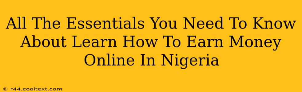 All The Essentials You Need To Know About Learn How To Earn Money Online In Nigeria