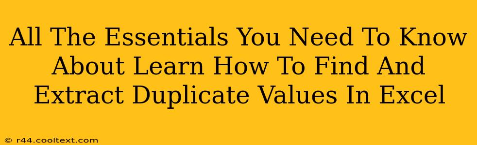 All The Essentials You Need To Know About Learn How To Find And Extract Duplicate Values In Excel