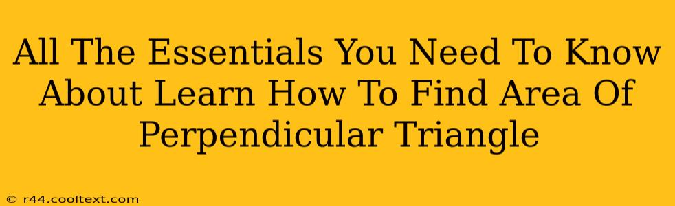 All The Essentials You Need To Know About Learn How To Find Area Of Perpendicular Triangle