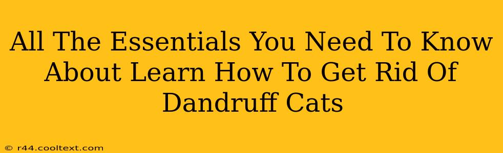 All The Essentials You Need To Know About Learn How To Get Rid Of Dandruff Cats