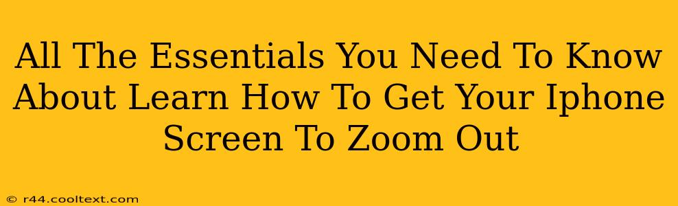 All The Essentials You Need To Know About Learn How To Get Your Iphone Screen To Zoom Out