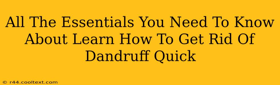 All The Essentials You Need To Know About Learn How To Get Rid Of Dandruff Quick