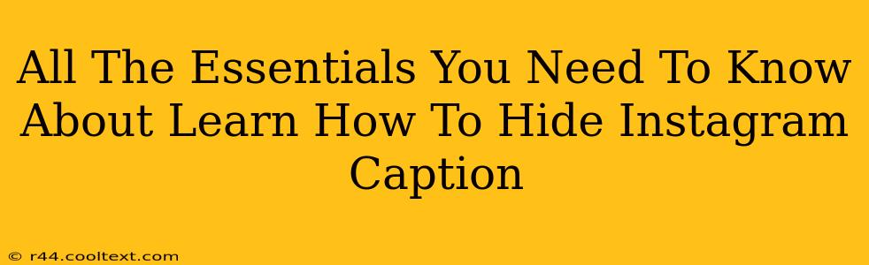 All The Essentials You Need To Know About Learn How To Hide Instagram Caption