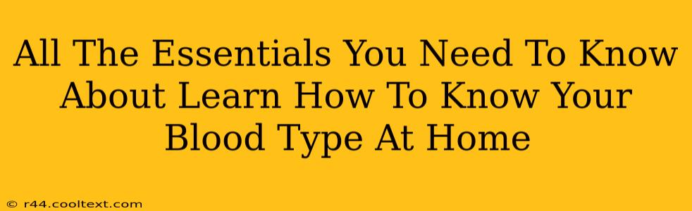 All The Essentials You Need To Know About Learn How To Know Your Blood Type At Home