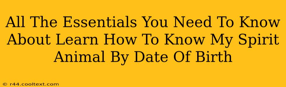 All The Essentials You Need To Know About Learn How To Know My Spirit Animal By Date Of Birth