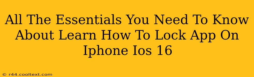 All The Essentials You Need To Know About Learn How To Lock App On Iphone Ios 16