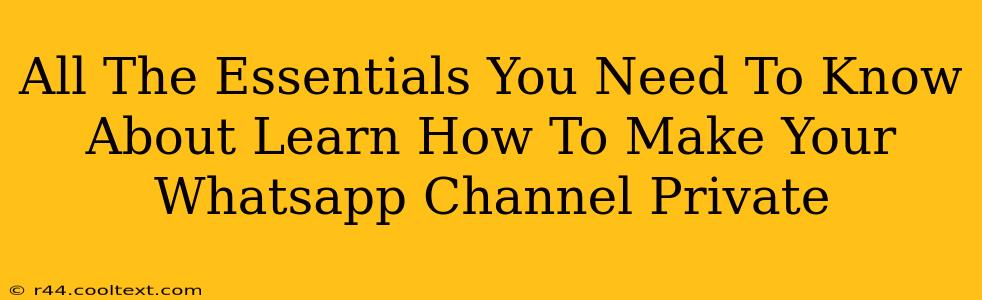 All The Essentials You Need To Know About Learn How To Make Your Whatsapp Channel Private